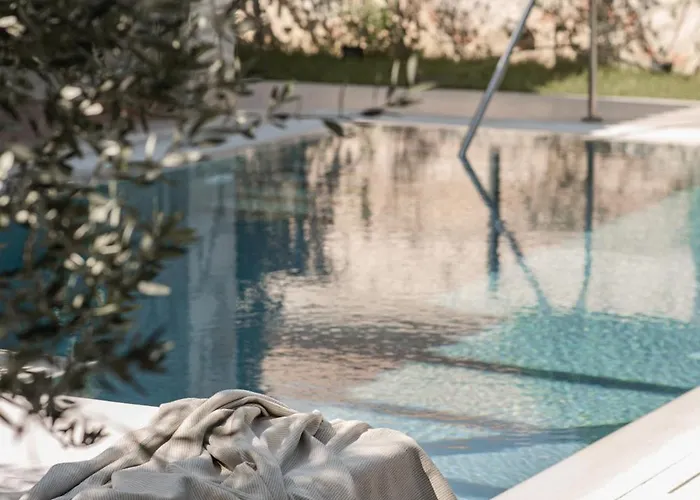 Viatzo - Eclectic With Heated Saltwater Pools 别墅 Mouzákion